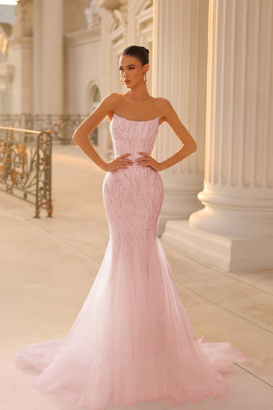 Tina Holly pink beaded magnificent full length tulle gown