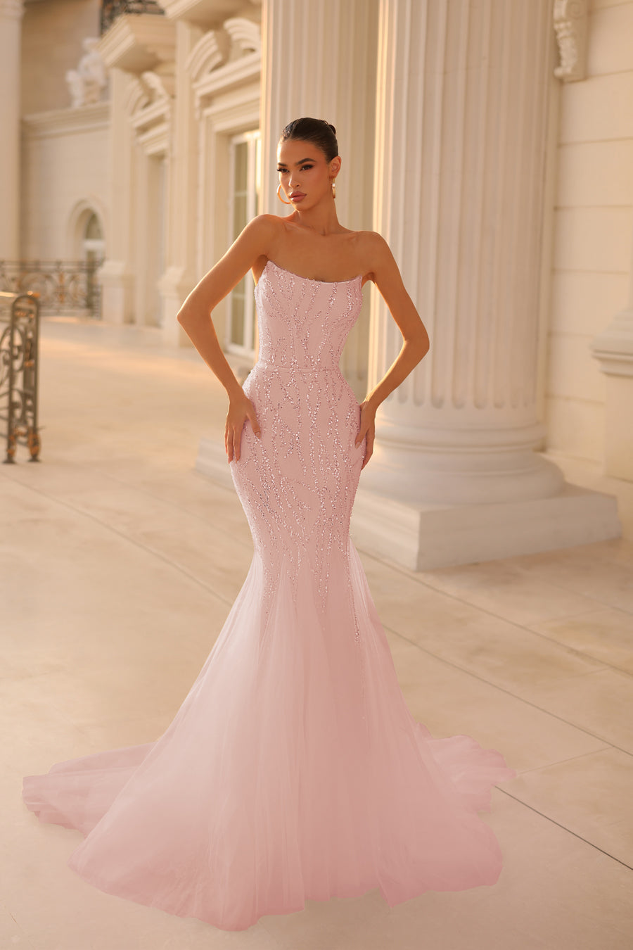 Tina Holly pink beaded magnificent full length tulle gown