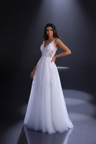 Nicoletta classic v neck tulle gown with lace embellishments