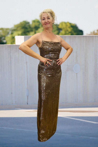 SABINA MUSAYEV MILI DRESS - MOCHA - Bread Boutique  - absolutely stunning, asymmetrical, backless, dress, EMBELLISHED, GLAMOROUS, gold, GORGEOUS, GOWNS, SABINA MUSAYEV, sequin, SEQUINED, SEXY, SHIMMER, SHIMMERING, shiny, SOFT, SOPHISTICATED, sophisticaterd, STRAPLESS, STUNNING, stylish, SUPERB, WAISTED - Darwin boutique - Darwin fashion